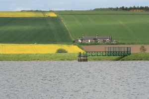 Landschaft bei Dundee