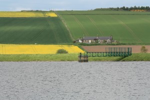 Landschaft bei Dundee