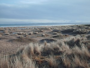 Strand im Winter