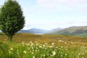 Schottische Landschaft