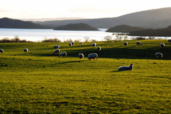 Loch Lomond in Westschottland