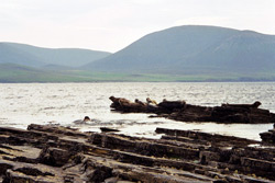 Orkney, Shetlandinseln und Hebriden